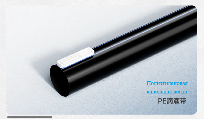 Капельные ленты ERA широко применяются в кенийском проекте